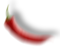 描述
